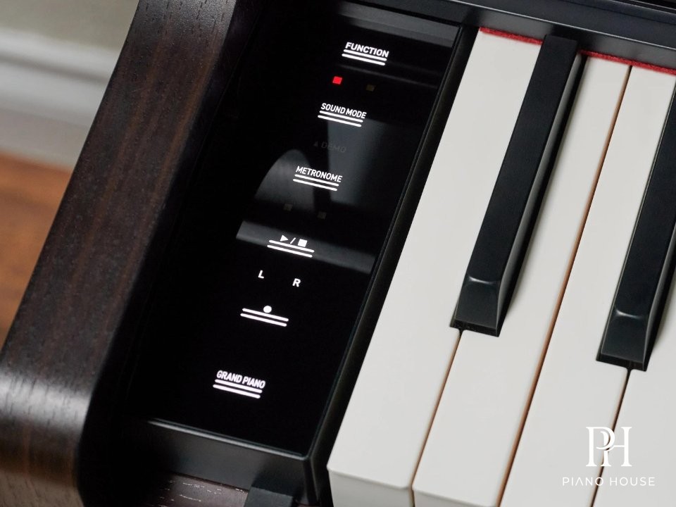 Casio AP-550 Black Rear Audio Connection
