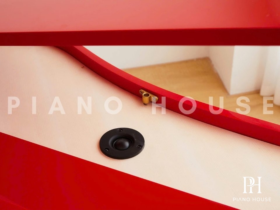 Apollo AG-10 Grand Digital Piano Open Lid Side View