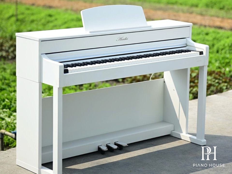 Asahi Aurora ASHA-205 Elegant Cabinet Finish
