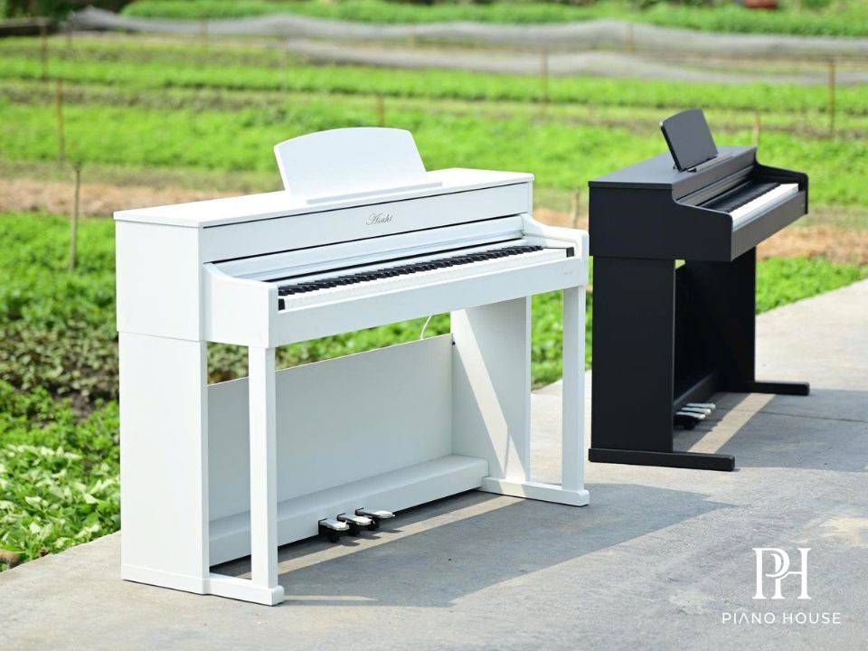 Asahi Aurora ASHA-205 Luxury Edition Digital Piano