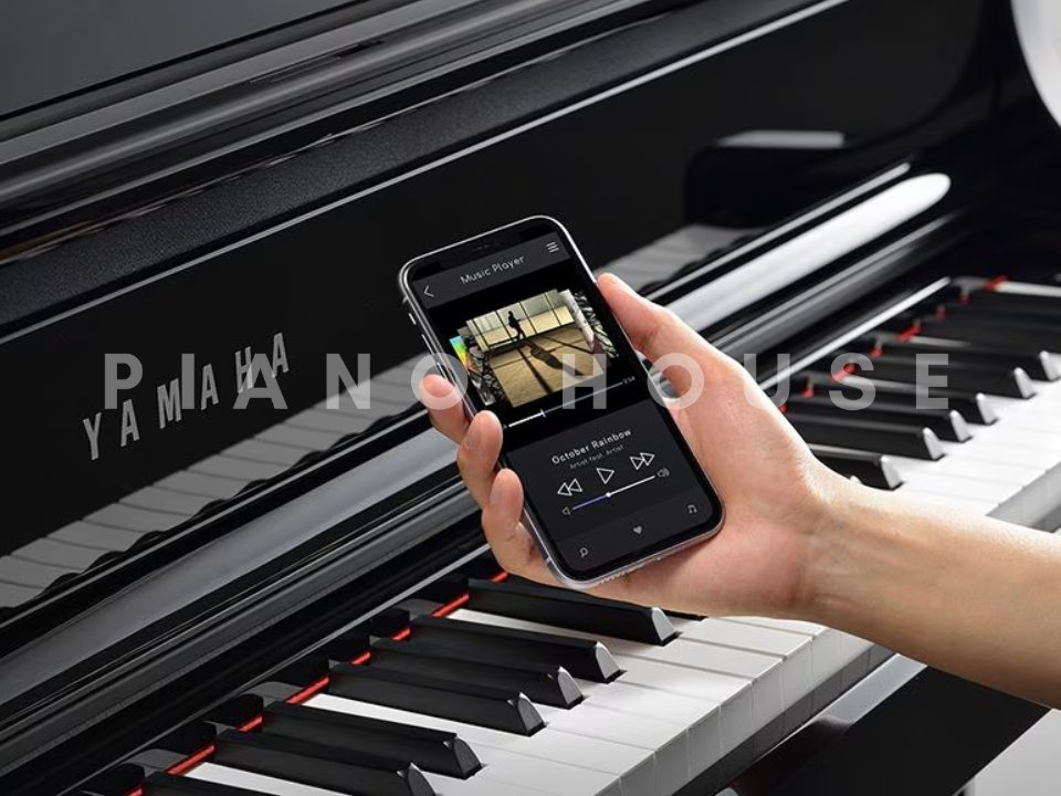Yamaha Clavinova CLP-800 Multi Channel Audio