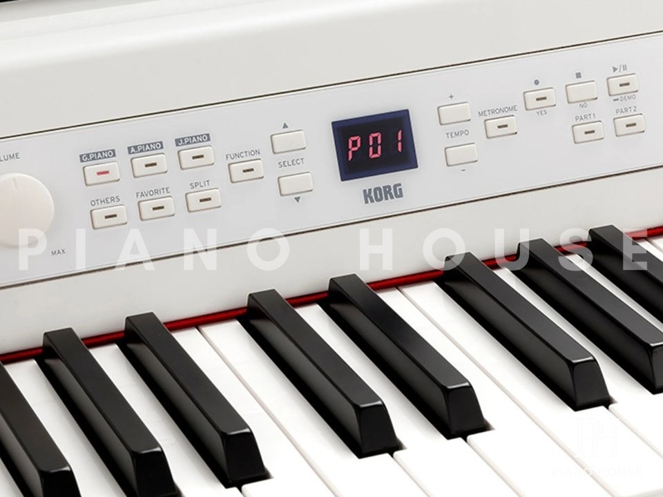 Korg G1 Air Flagship Rear Speaker Enclosure Architecture