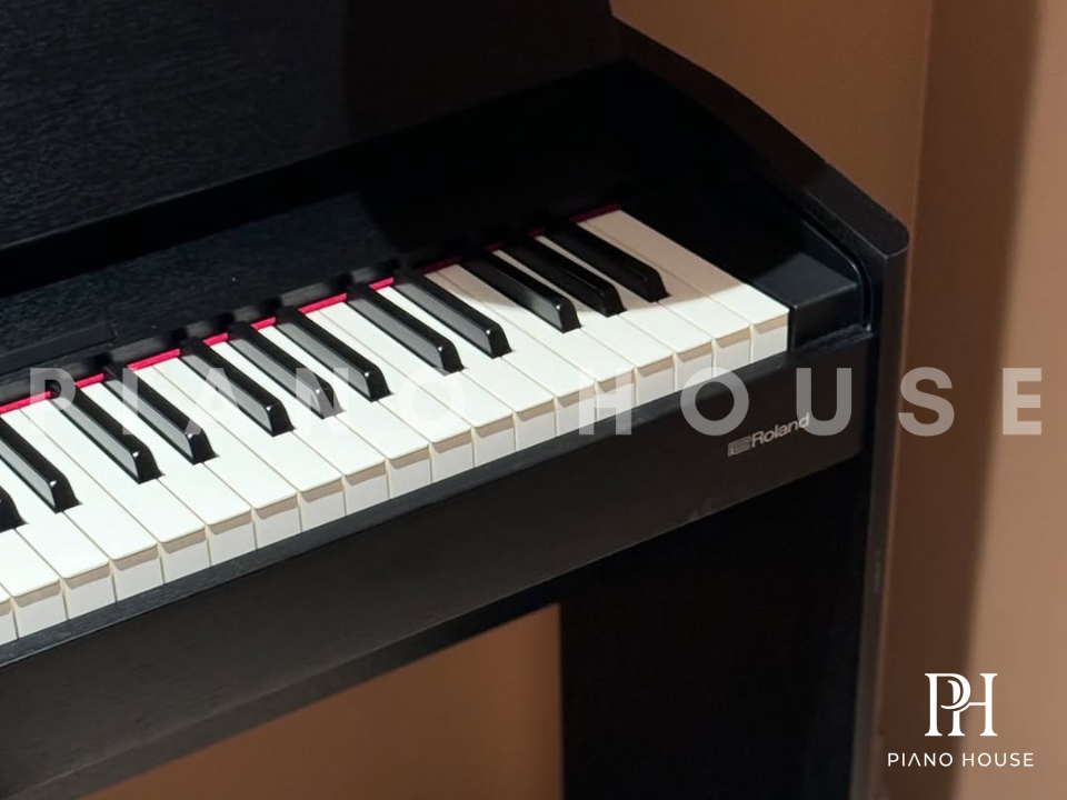 Roland F701 Rear Audio and Input Node Matrix