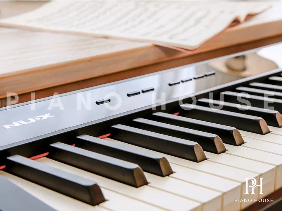 NUX NPK-10 Black Keybed Interface Close Up