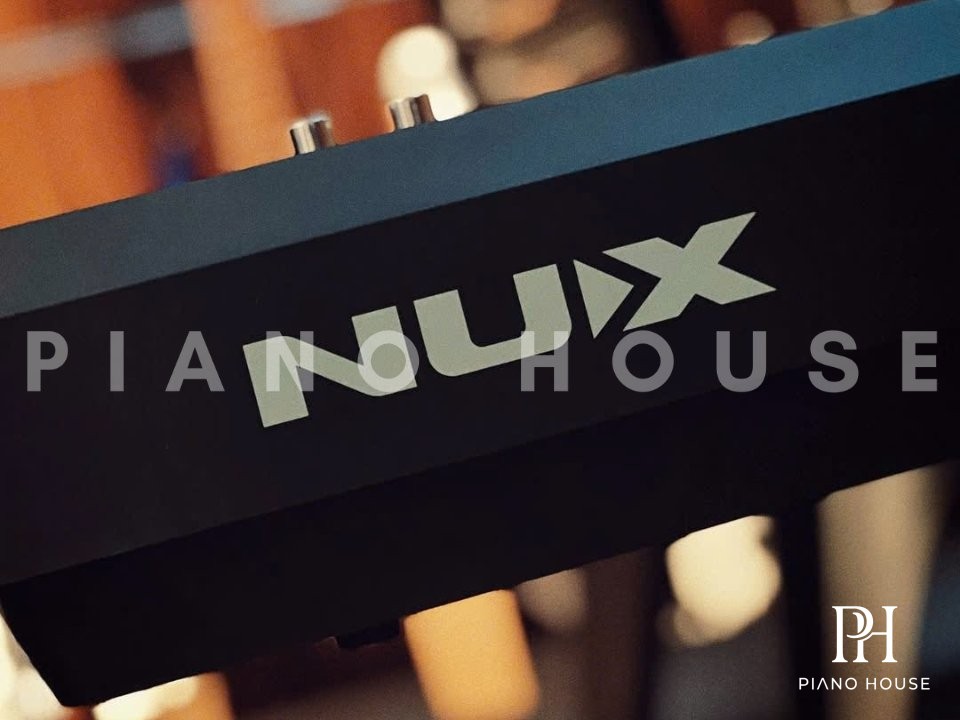 NUX NPK-20 Rear Connection Ports Interface Panel
