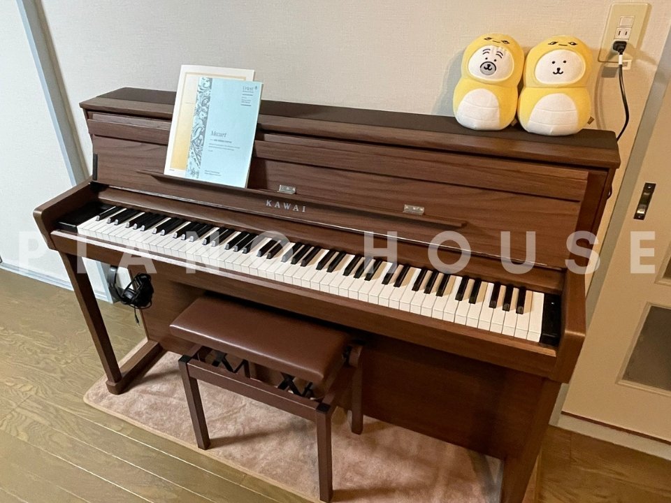 Kawai CA901 NW Limited Special Wood Edition