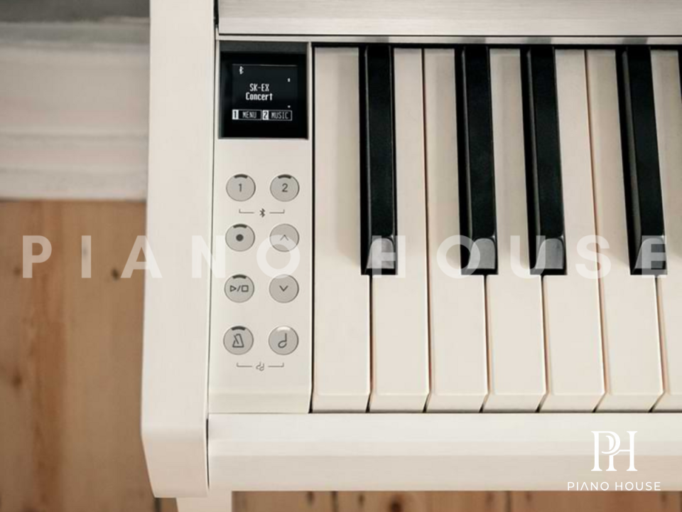 Kawai CN201 Micro OLED Screen and System Controls