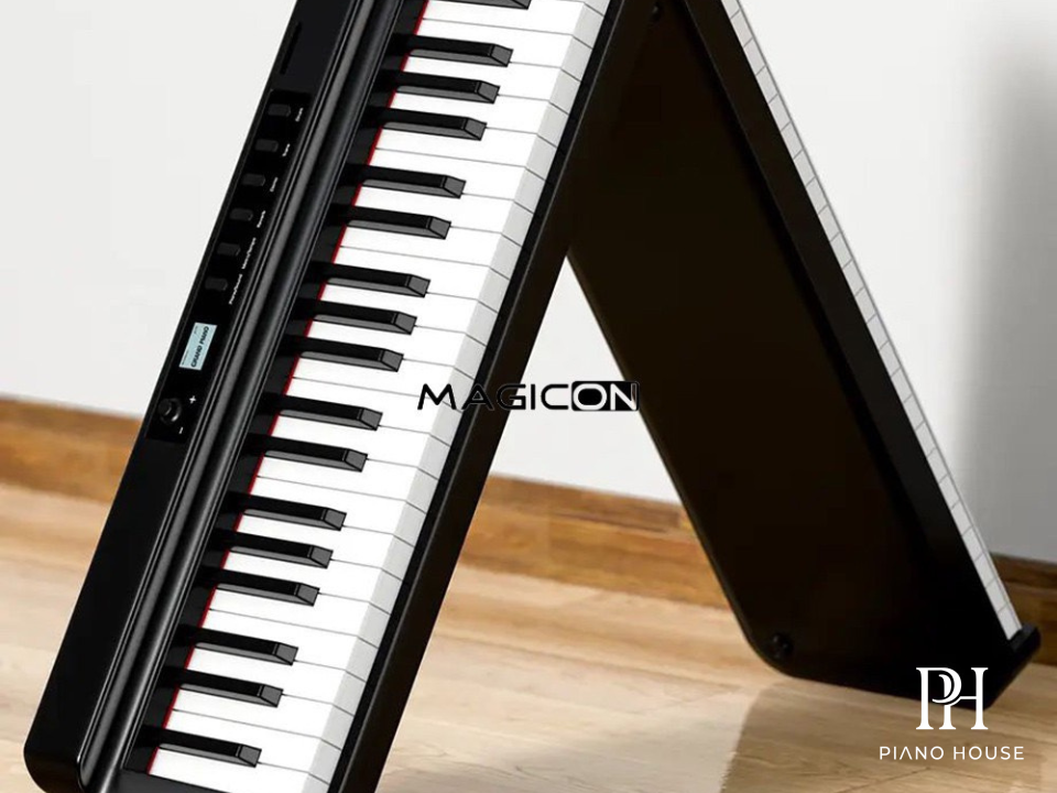 Wersi Wi15 Pro Back Sound Interface Ports Node