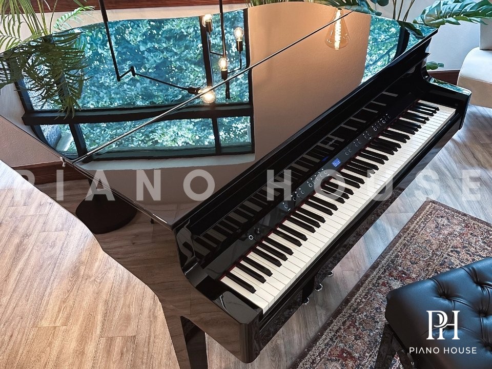 Roland GP-9 Luxury Cabinet Strings Lid View