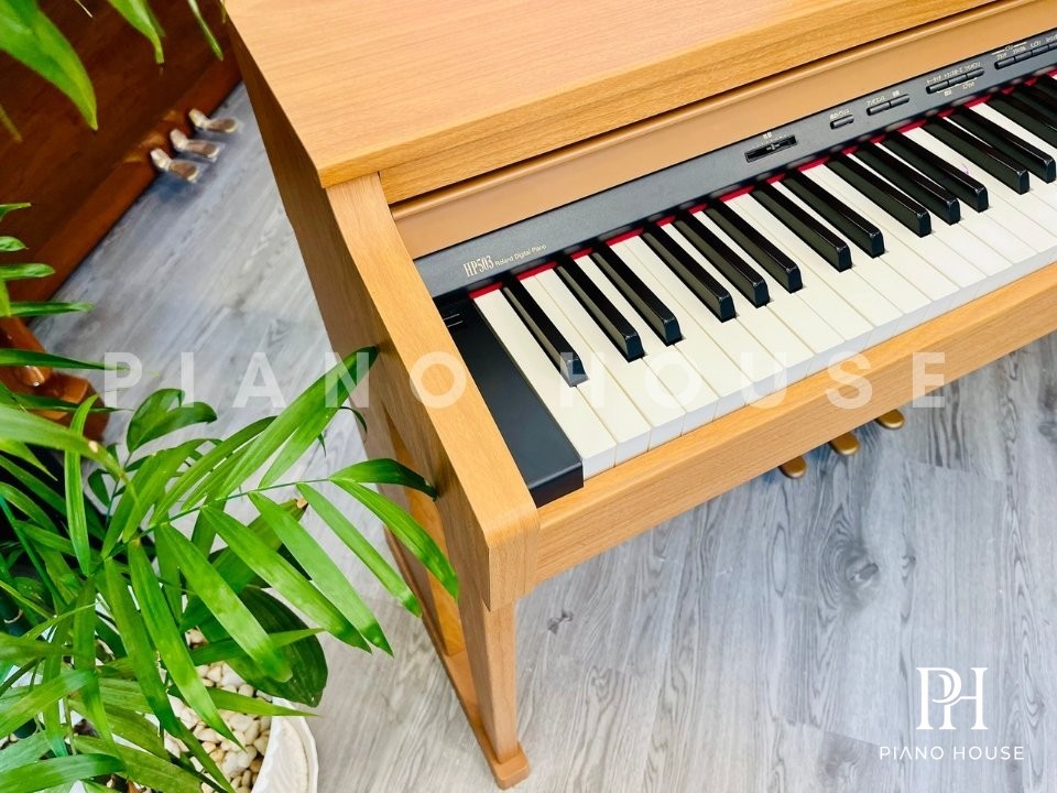Roland HP503 Graded Hammer Keybed Assembly Detail