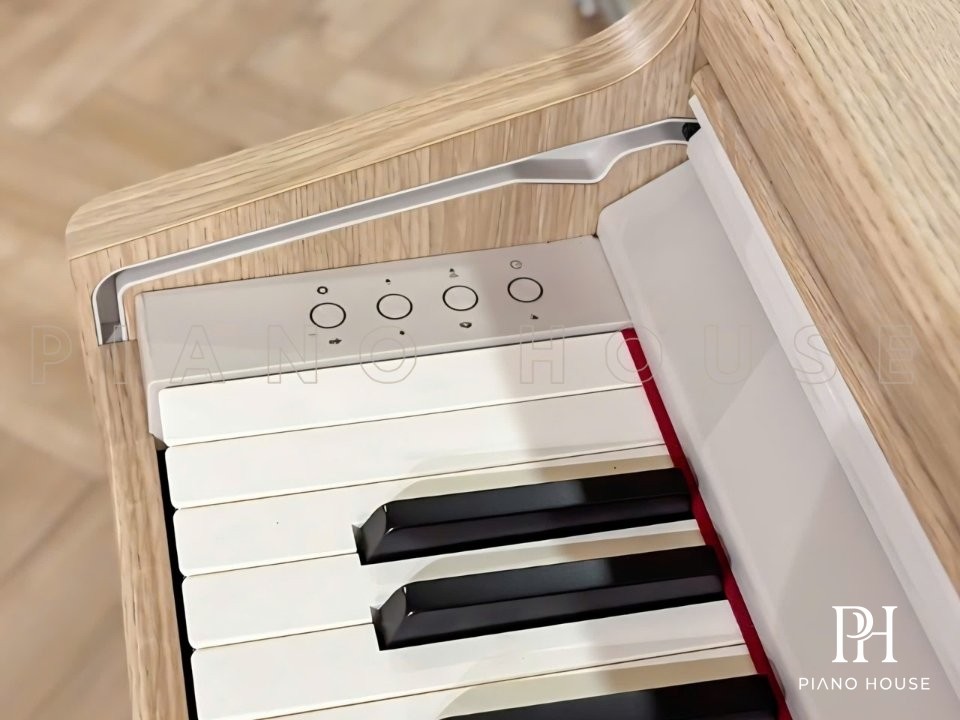 Roland RP701 Linear Control Button Row Matrix