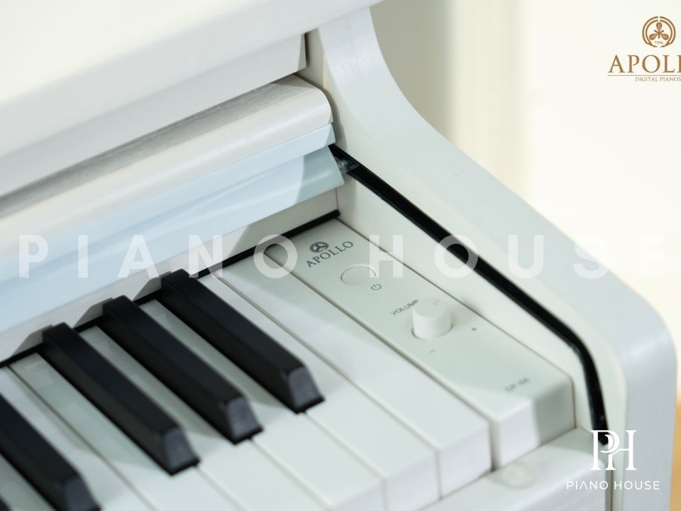 Apollo DP66 White 2