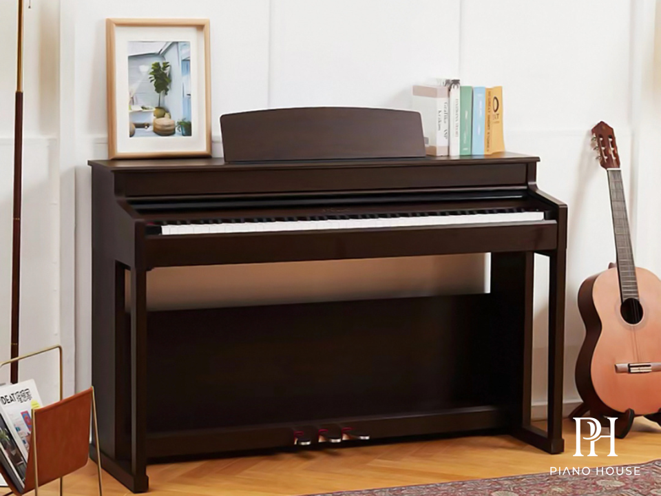 Apollo DP-260 High End 2