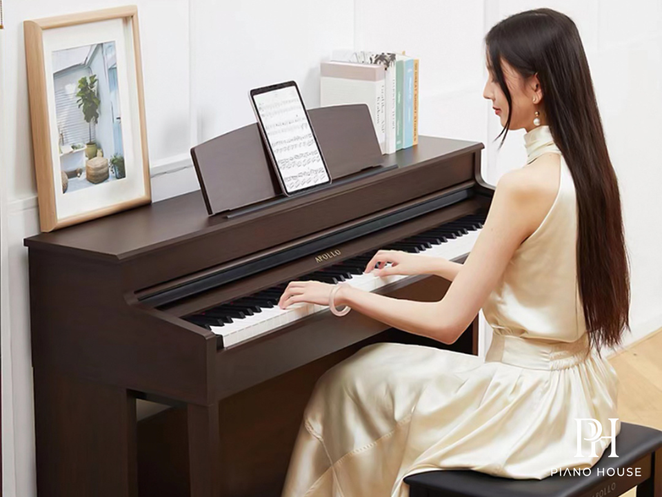 Apollo DP-260 High End 1