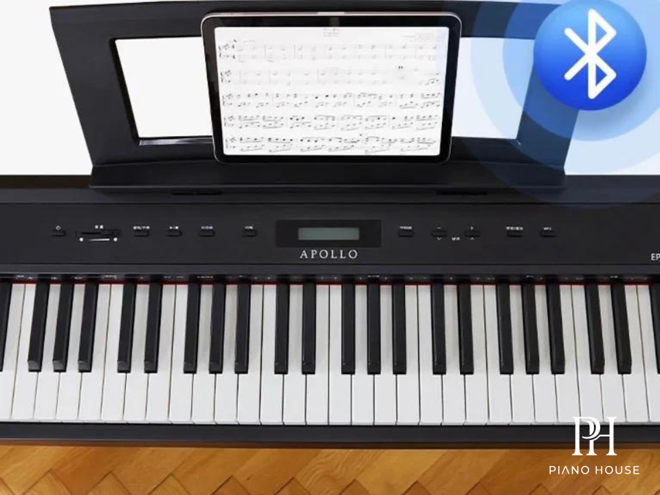 Apollo EP-130 Studio 1