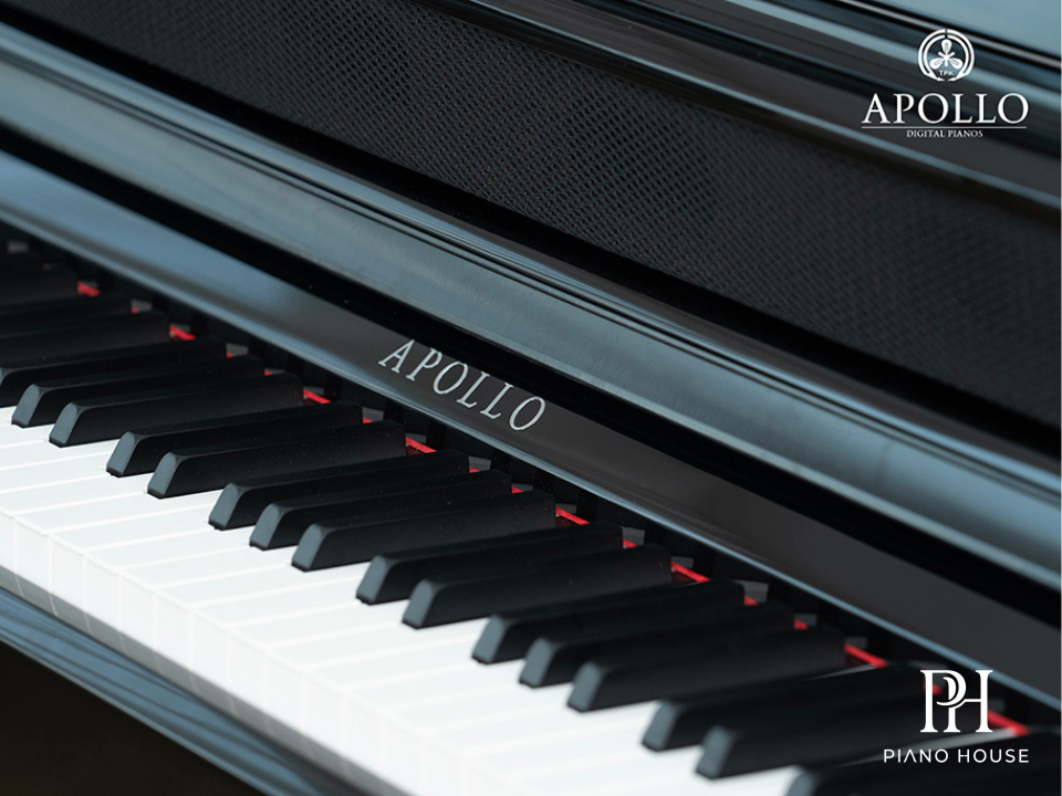 Apollo KP-88 Detail 2