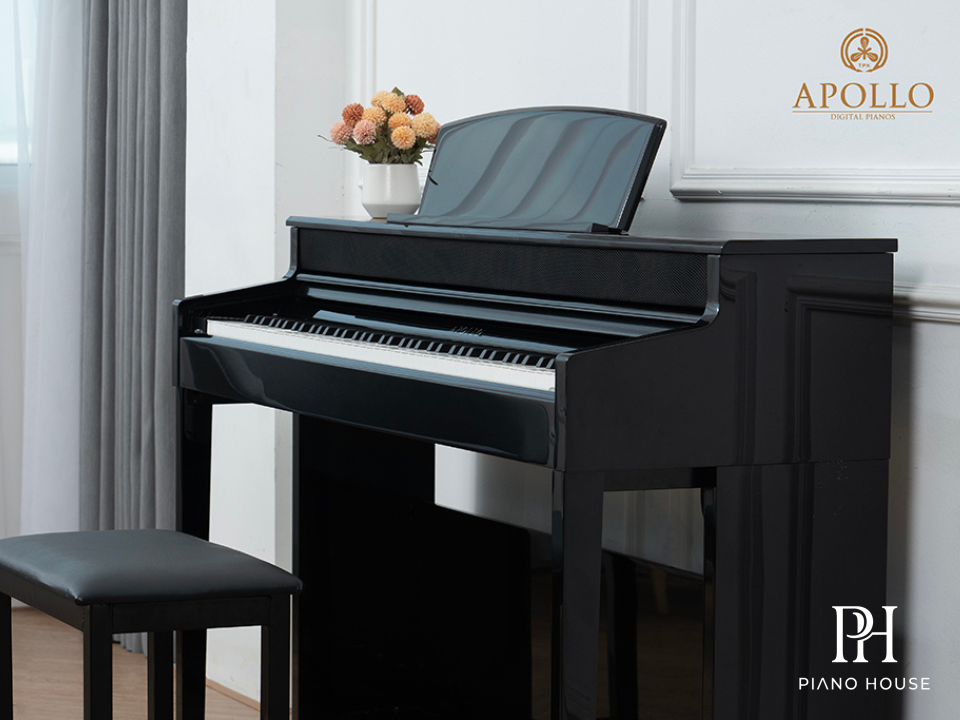 Apollo KP-88 Detail 1