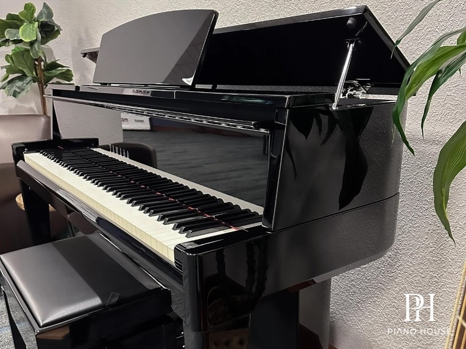 AvantGrand N2 Action 1