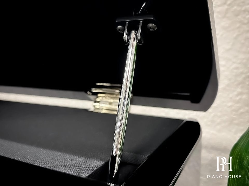 AvantGrand N2 Action 2