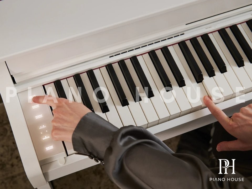 Casio AP-300 Profile