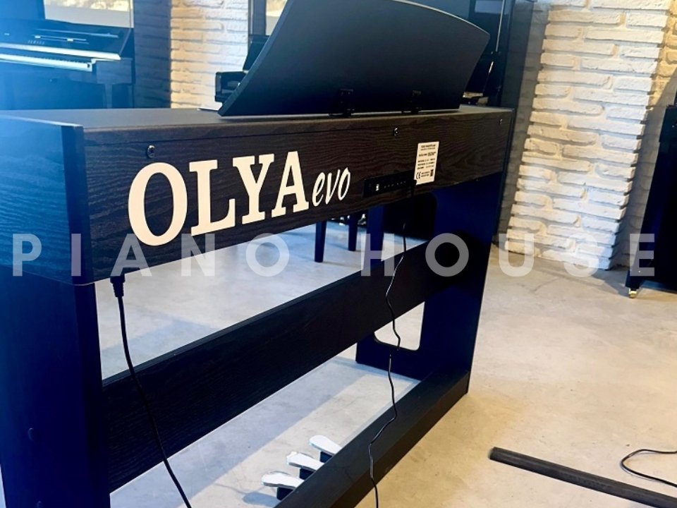 Feurich Olya Evo Detail 1