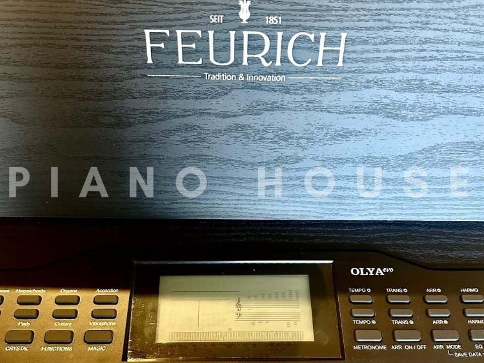 Feurich Olya Evo Detail 2