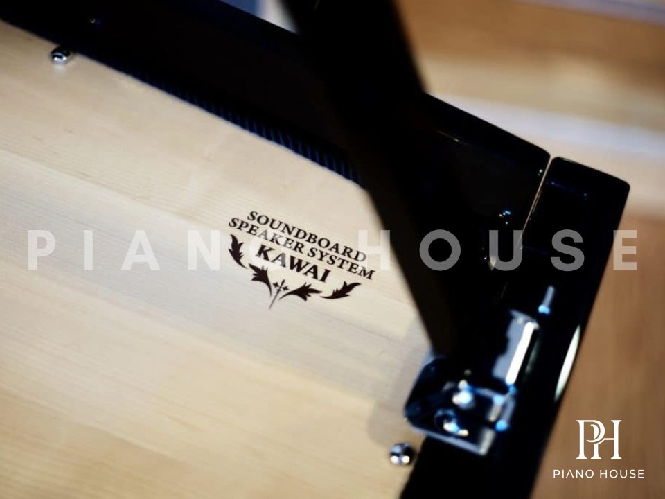 Kawai NV12 Detail 2