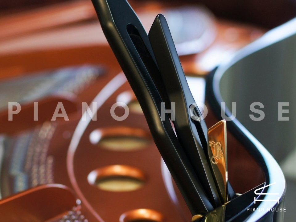 Bosendorfer Interior