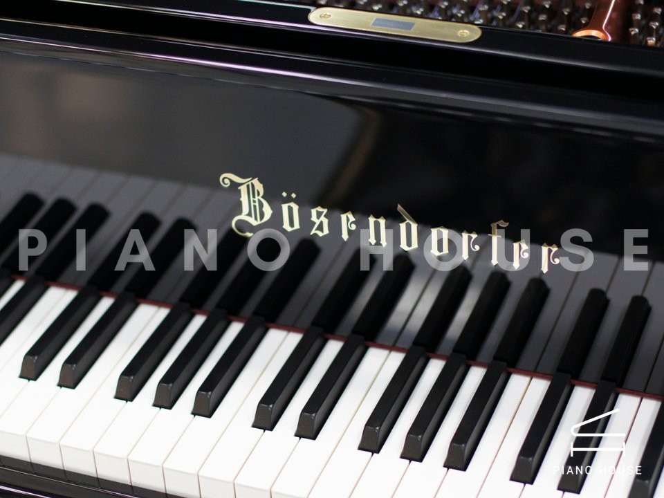 Bosendorfer Elegant Design