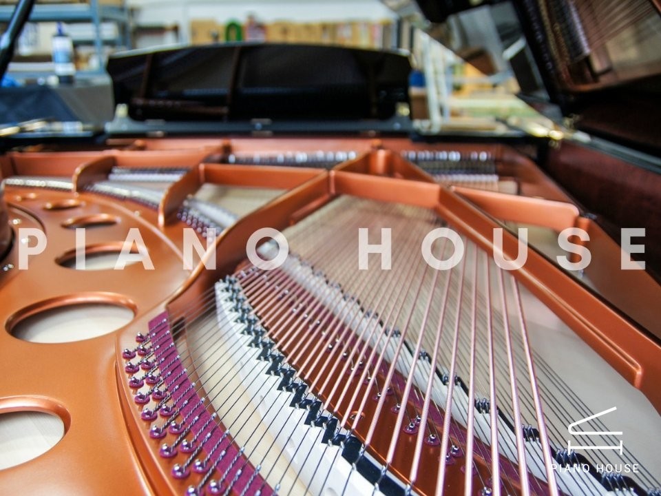 Bosendorfer Keyboard View