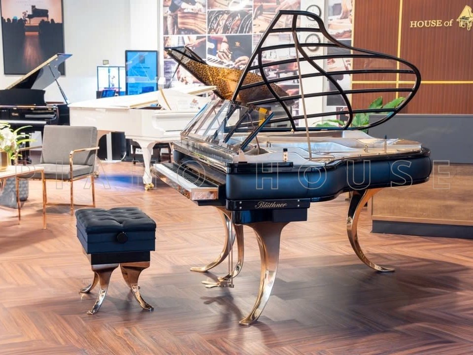 Blüthner Artcase Design