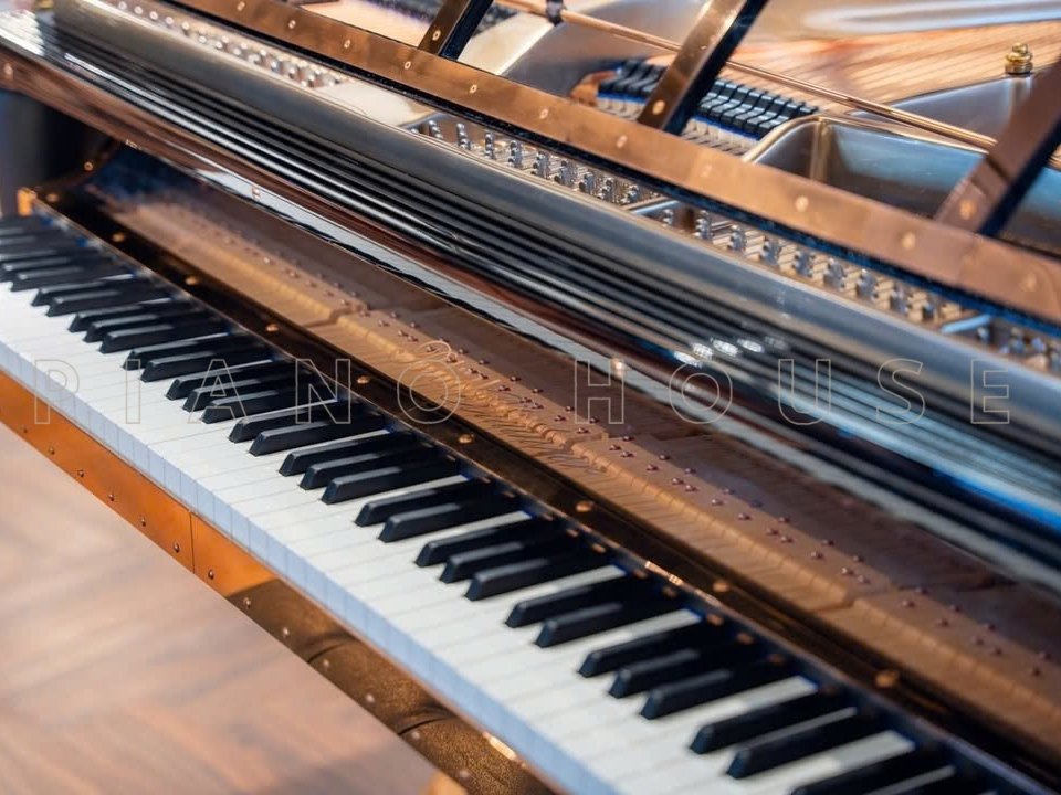 Blüthner Interior Art