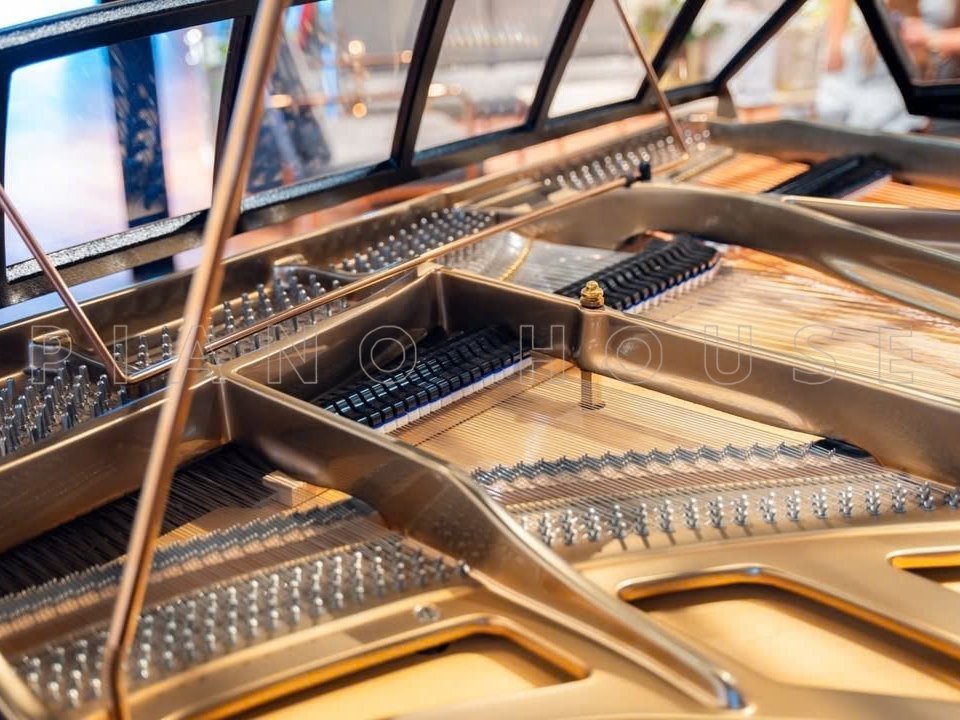 Blüthner Detail View