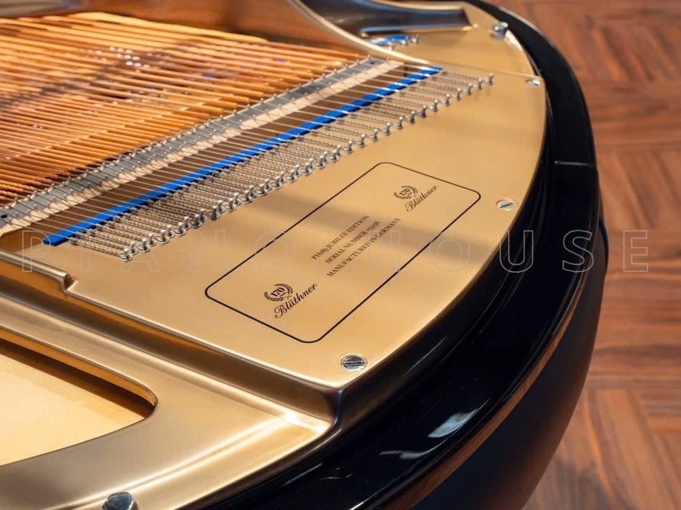 Blüthner Keyboard Luxury