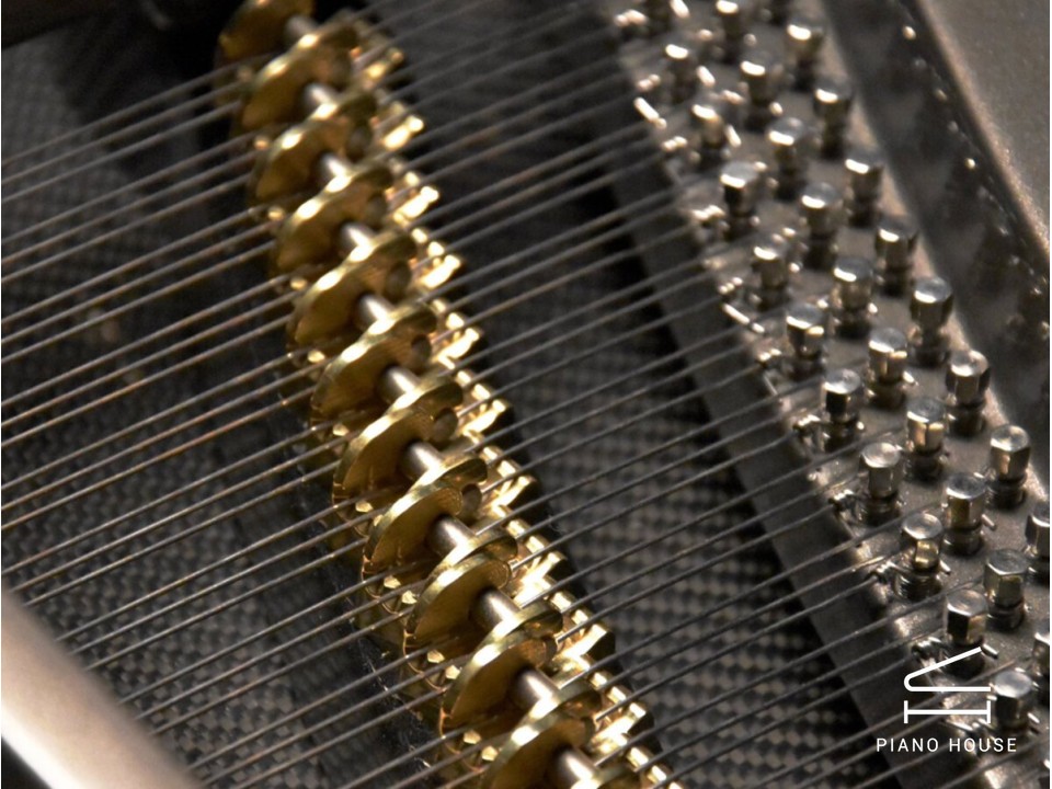 Bogányi Model B262 Detail