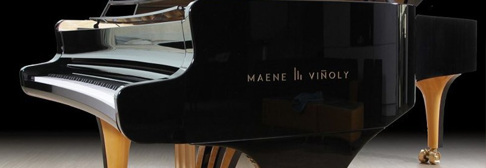 Chris Maene Banner 3