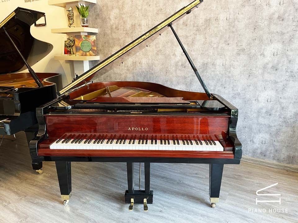 Apollo Grand Piano Wood View