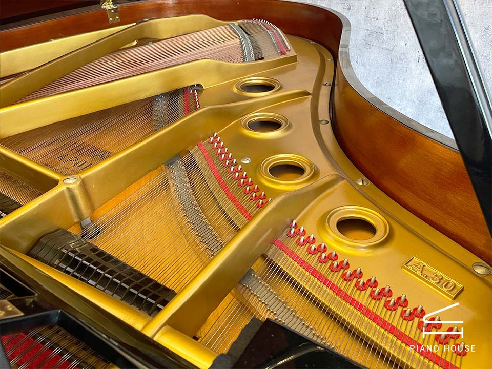 Apollo Grand Detail