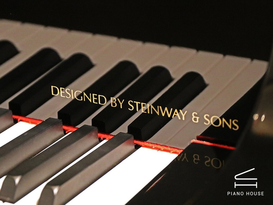 Essex Piano Hammer Action