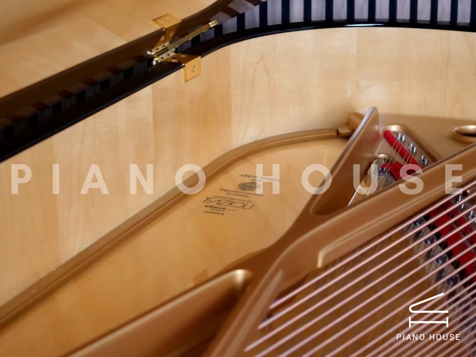 Fazioli Strauss Detail