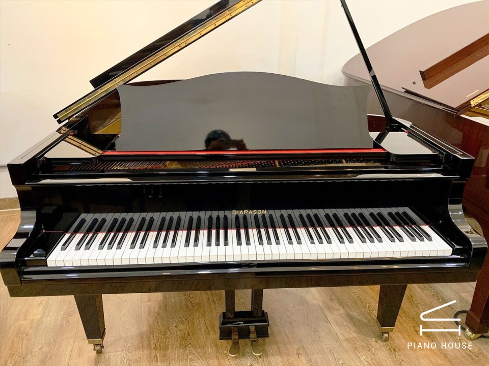 Diapason Grand Piano Detail