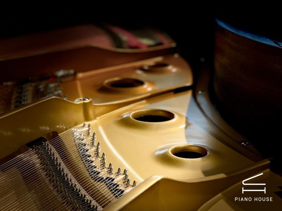 Kawai GL-40 Side View