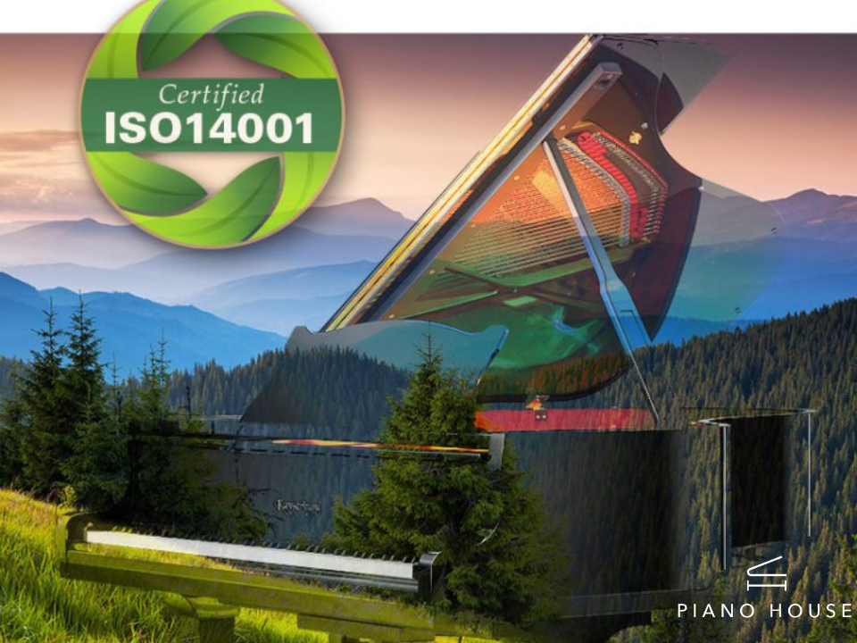 Kayserburg Technical Drawing