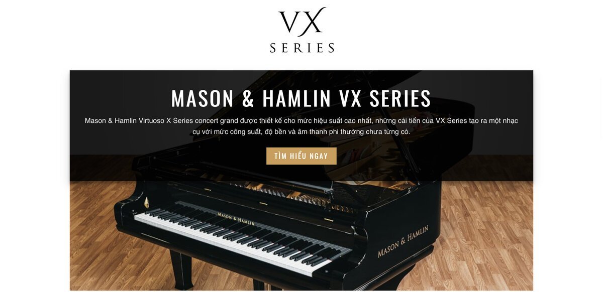 Mason Hamlin Rim Interior 2