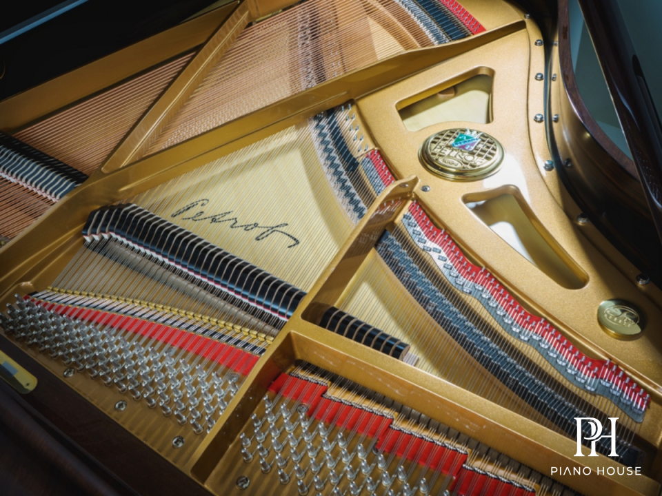 Petrof Model 173 Interior 1