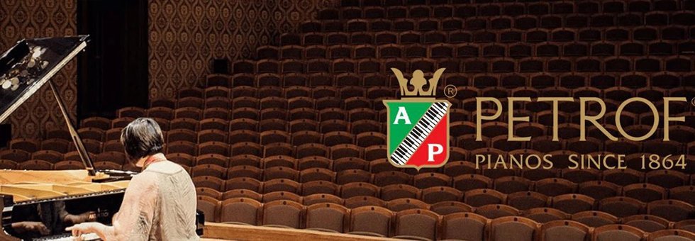 Petrof Grand Detail