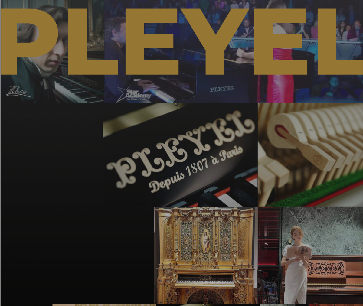 Pleyel Grand Piano Masterpiece