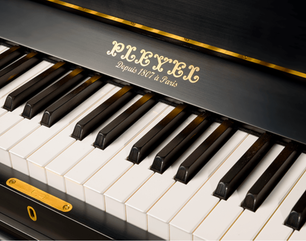 Pleyel Angle 3