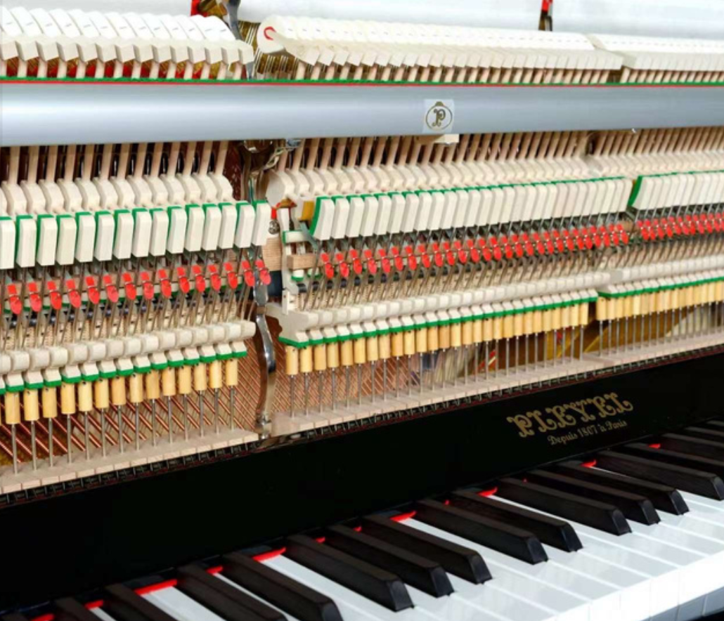 Pleyel Grand Overview