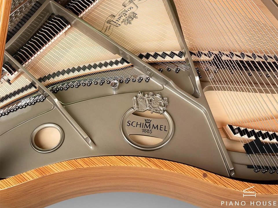 Schimmel Interior